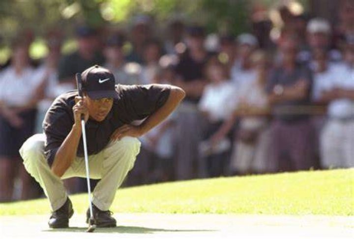 Tiger Woods' ex Elin Nordegren is joined by her twin Josefin to cheer