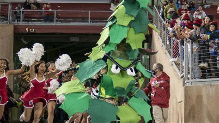 Unveiling The "Banging The Mascot" Incident: Lessons And Revelations